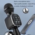 DS813 Live Wireless Bluetooth Microphone. 