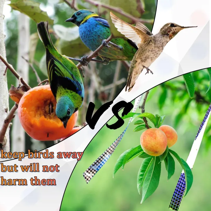 Birds%20Tape,%20Double%20Sided%20Holographic%20Glitter%20Tape%20Reflective%20Scare%20Tape%20Flash%20Deterrent%20Ribbon%20for%20Pigeons%20Freckles%20Crows%20Starlings%20-%20Image%205