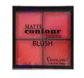 chanlanya 4 plate blush beauty skin care tools. 