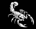 Scorpion 1 pair Sticker for car. 