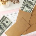 50 Pack Large Cash Envelopes 4 x 8.5 inch, Money Envelopes for Cash, Cash Envelopes For Savings plan,Cash Envelopes for Budgeting,50 envelopes money saving challenge(Brown).