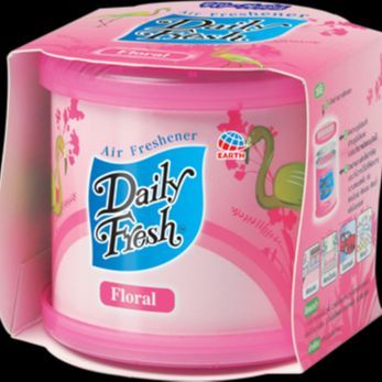 Daily Fresh Air Fresher