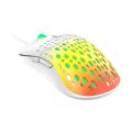 AULA S11 Pro Wired Gaming Mouse，Four speed adjustment, Plug and play, RGB breathing light USB Gaming Mouse for PC Laptop PC. 