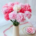 DIY Crepe Paper New Thickened wrinkled paper Production material paper Wrapping Paper Handmade flowers Packing Material.