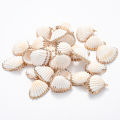 5pcs Natural Shell Pendant Conch Shell Charms For Jewelry Necklace Making DIY EarringPendant Gift Accessorie Wholesale. 
