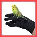 VibeVendor Bird Training Anti-Bite Gloves Animal Handling Chew Protective Gloves for Parrot. 