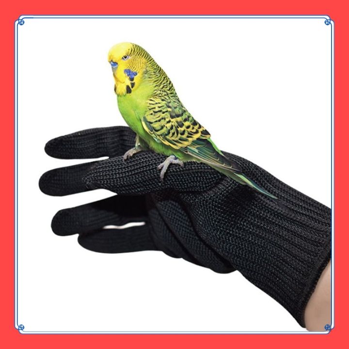 VibeVendor%20Bird%20Training%20Anti-Bite%20Gloves%20Animal%20Handling%20Chew%20Protective%20Gloves%20for%20Parrot%20-%20Image%202
