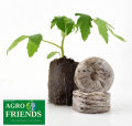 Nutrient Coco Tab for Seedling And Germination -Imported. 