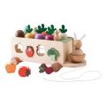 Wooden Montessori Toy 4-in-1 Intelligence Box Set Column Pull Radish Cart Game Stick Kids Shape Matching Educationsl Toys Puzzle KankongAgu. 