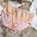 2 Pieces combo pack Women's Underwear Invisible Seamless Bikini Lace Underwear Half Back Coverage Panties, Hipster Briefs Bikini undergarments panty bra matching panty BDAA01PA21121. 
