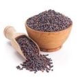 Mustard Seeds ( Red Mustard) - 300 gm. 