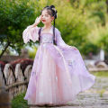Purple Hanfu Super Immortal Ru Skirt Children's Chinese Dress Little Girl Ancient Style Tang Clothes Spring and Autumn. 