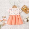 Summer New Baby Girls Dress Lapel Lace Ruffles Sweet Cute Little Flower Floral Floral Print Sweet Princess Dress.