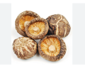 Shiitake Mushrooms 100g. 
