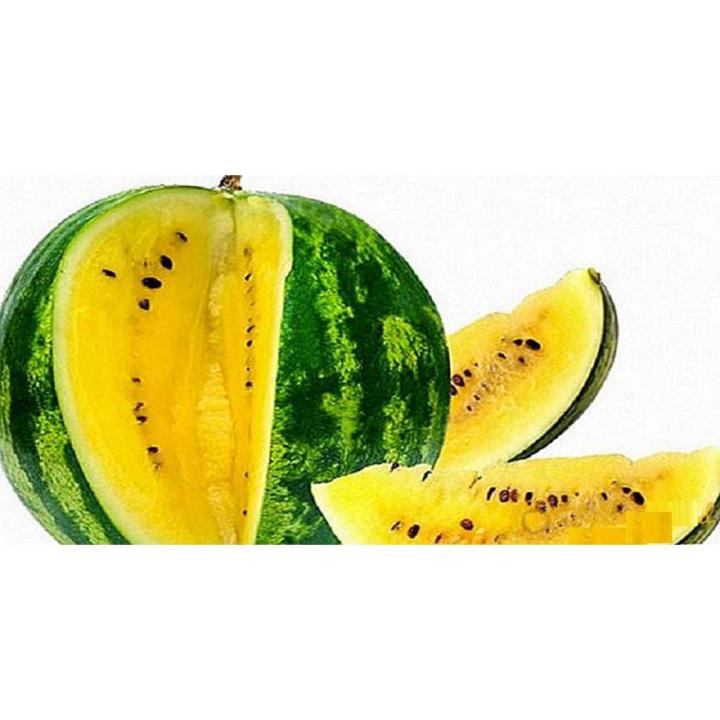 Baro mashi Green Gold watermelon Seed - 20+ Seeds Shah Agro Farm Garden Plants Fresh Baro mashi Green Gold watermelon Seed - 20+ Seeds