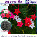 Kunjo Flower Seed (কুঞ্জফুল বিজ ) - 10 pcs Seed - 3 Color Mix.