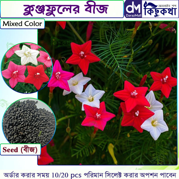 Kunjo%20Flower%20Seed%20(%E0%A6%95%E0%A7%81%E0%A6%9E%E0%A7%8D%E0%A6%9C%E0%A6%AB%E0%A7%81%E0%A6%B2%20%E0%A6%AC%E0%A6%BF%E0%A6%9C%20)%20-%2010%20pcs%20Seed%20-%203%20Color%20Mix%20-%20Image%202