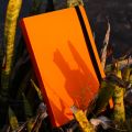 Daily Journal Orange Notebook with Elastic Band. 