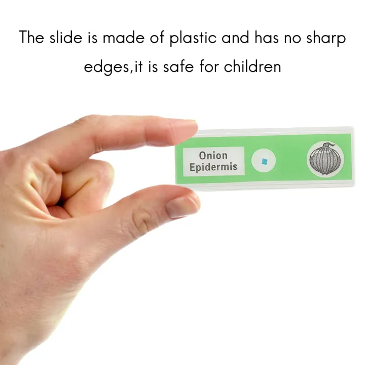 48pcs%20Kids%20Plastic%20Prepared%20Microscope%20Slides%20Of%20Animals%20Insects%20-%20Image%202