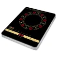 RFL Best Buy Vision Infrared Cooker RE-VSN-XI-30A3.