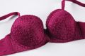 Purple Soft Comfortable Net Pushup Foam Bra for Sexy Women. 