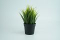 Artificial Plotted Plant - Home Decoration Item.