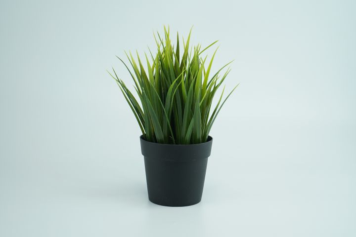 Artificial%20Plotted%20Plant%20-%20Home%20Decoration%20Item%20-%20Image%202