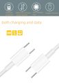 CASIFY X3 60W Type C to Type C Fast Charging 25CM Short Data Cable Silicone 60Watt 25 CM Short PD Cable White. 