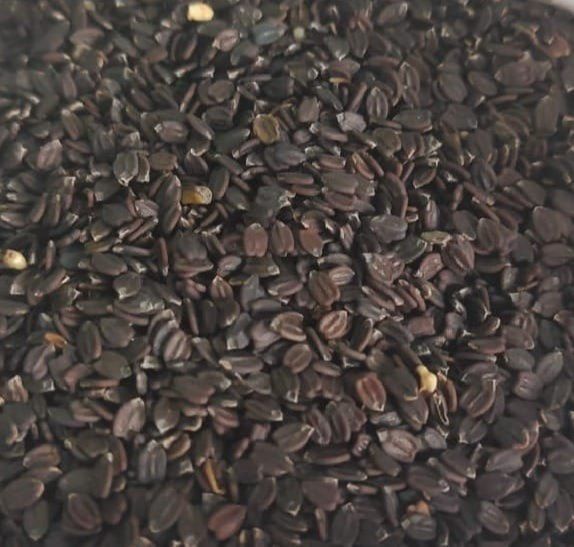 Tokma%20Dana%20Basil%20Seed%20100g%20-%20Image%203