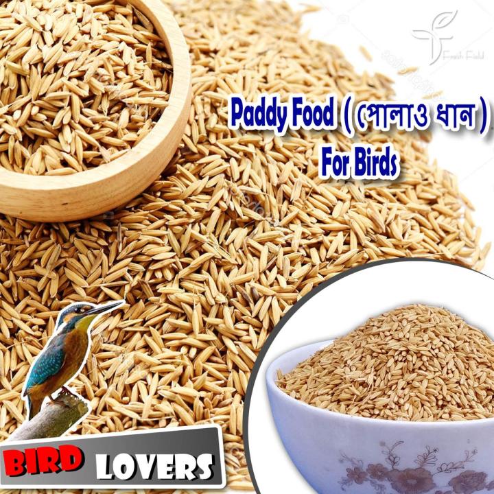 Paddy Rice For Bird (Polaw Dhan) Birds Food - 1 kg | Daraz.com.bd