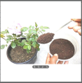 Vermicompost-Organic fertilizer 1 kg. 