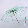 Cherry Blossom Korean Version Three Fold Transparent Umbrella. 