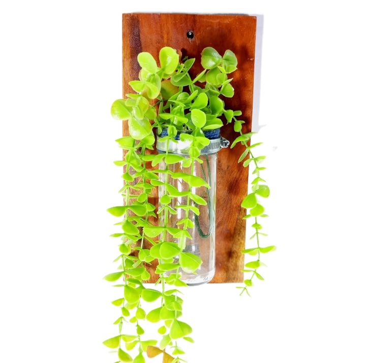 Wall%20flower%20Vase%20of%20natural%20wood%20and%20glass%20for%20office%20and%20living%20room.%20(with%20&%20without%20plant)%20-%20Image%204