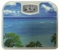 Bathroom Weight Scale China.