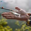 Fishing Lures Lifelike Top Water Bass Lure for Trout Carp Catfish. 