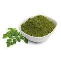 Moringa Leaf Powder 500 gm - Sojne Pata Gora Herbs / Herbal. 