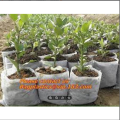 Nursery Poly Bags/Grow Bags (5"X6" @500Gm). 