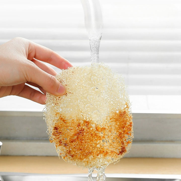 5Pcs%20Natural%20Luffa%20Dish%20Washing%20Cloth%20Sponge%20Loofah%20Scrub%20Pad%20Dish%20Pot%20Easy%20To%20Clean%20Scrubber%20Sponge%20Kitchen%20Clean%20Brushes%20Pad%20-%20Image%204