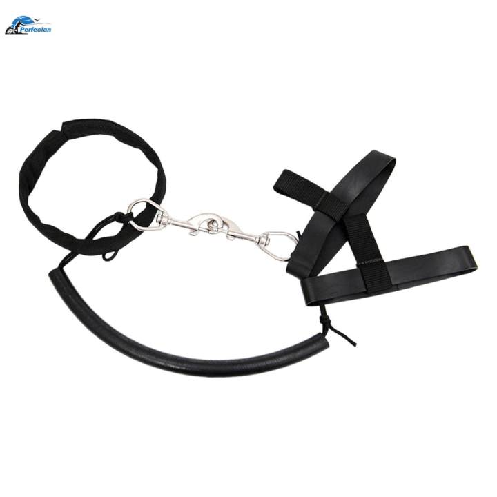 Diving%20Tank%20Hoop%20Retainer%20Band%20Strap%20Stainless%20Steel%20Elastic%20Rubber%20Bands%2011%20to%2012L%20-%20Image%202
