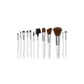 Professional Set of 12 Brushes. 