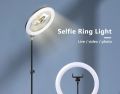 10 inch Ring Light with 7 Feet Long 200cm Optional Tripod Stand, YouTube Facebook Live Video Tiktok Video Photography Fill Light Led Ring Lamp Ringlight for Video Recording Live Broadcast - ring light with stand.