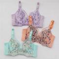 Embroidery Fashionable Bra_Sexy_Bra Soft Bra Comfortable Bra Stylish Bra Womens Wear Ladies Bra By Zayan Fashion - Bra For Girls - ব্রা - Bra.