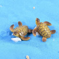 GC Mini Turtle Model Resin Ornaments Fine Workmanship Layout Prop rium Fish Tank Landscape Decoration size. 