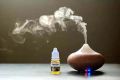 Humidifier Flavor Water soluble essential oil Fragrance 5 different smell combo total 60 ml.