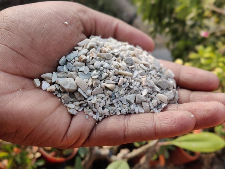 White%20Stone%20Chip%20(%E0%A6%B8%E0%A6%BE%E0%A6%A6%E0%A6%BE%20%E0%A6%AA%E0%A6%BE%E0%A6%A5%E0%A6%B0%20%E0%A6%95%E0%A7%81%E0%A6%9A%E0%A6%BF)%20-%20200/500%20Gram%20pack%20Mini%20White%20Stone%20Chip%20For%20Decoration%20of%20Aquarium%20and%20Making%20Adenium%20Cactus%20Media%20-%20Image%204