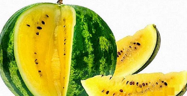 Baro%20mashi%20%20Green%20Gold%20watermelon%20%20Seed%20-%2020+%20Seeds%20Shah%20Agro%20Farm%20Garden%20Plants%20Fresh%20Baro%20mashi%20Green%20Gold%20watermelon%20Seed%20-%2020+%20Seeds%20-%20Image%202