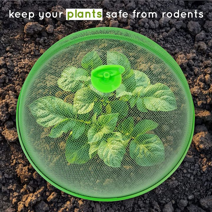 3%20Pcs%20Round%20Metal%20Mesh%20Food%20Covers%2024cm%20Reusable%20Net%20to%20Keep%20Out%20Flies%20and%20Bugs%20-%20Image%207