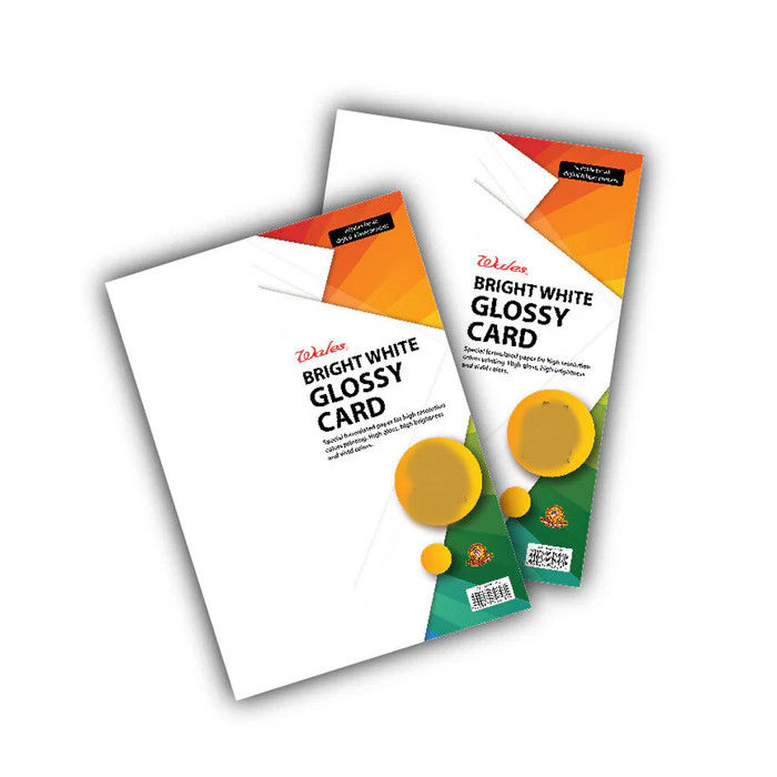 Glossy Art Card Stock Paper 300 GSM A4 10 Sheets for Business Card Making Voucher Printing Certificate Packaging and Multi Purpose Use