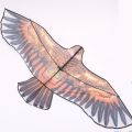 Huge Outdoor Eagle Shape Flying Kite 5 Feet 1.5m.