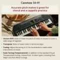 Casiotone Mini Keyboard SA-81 with Piano tones, Black. 